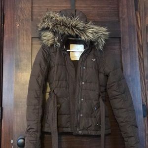 Hollister Winter Jacket